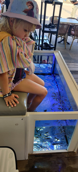 FISH SPA playa del ingles