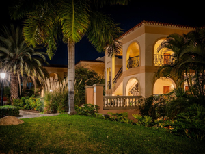 Palm Oasis