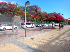 Parada De Taxis
