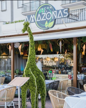 Rincon Del Amazonas