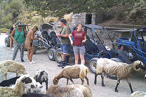 Buggy safari Creta (Transfer e almoço) analipsi- hersonisos
