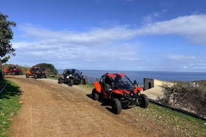 Creta: Safári de Buggy, Moinho de Azeitonas, Degustação e Vila Fantasma