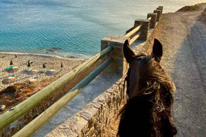 Crete: East Coast Horse Riding with Libyan Sea Views