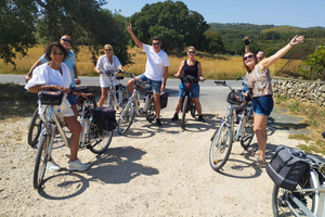Tour guiado en bicicleta eléctrica al desfiladero de Myli con almuerzo completo incluido