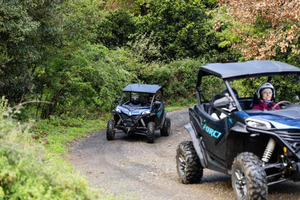 From Rethymno: Half-Day Off-Road Buggy Safari