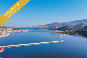 Kefalonia: Argostoli & Sea Turtles Excursion from Skala