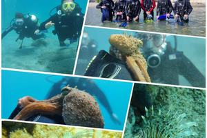 Kos: Scuba Diving Experience with Hotel Pickup