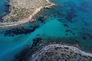 Naousa: Paros Boat Tour: Discover Hidden Gems around Paros Boat Tour