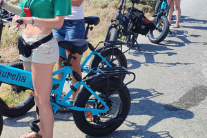Naxos: Private E-Bike Tour with Farm Lunch