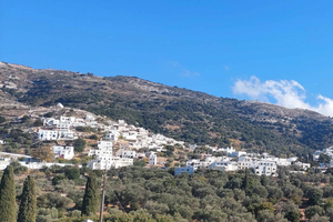 Private tour around Naxos island, see the villages