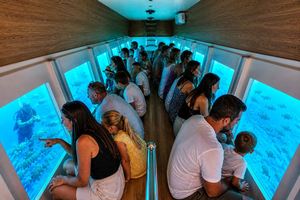 Rhodes: Glass-Bottom Submarine Cruise &Underwater Views&Show