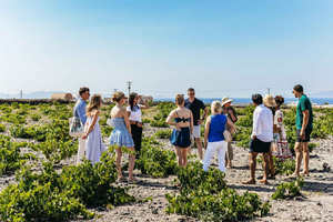 Santorini: Small-Group Sunset Wine Tour with Santo Winery