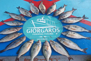 Santorini: Traditional Fishing Trip and Fresh Fish Lunch