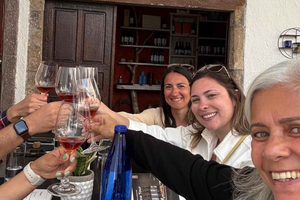 Santorini: Excursão a Vinhedos com Degustação de Vinhos e Petiscos Locais