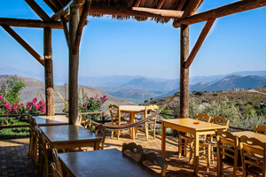 Kleine groep: Knossos, olijfolie, wijnmakerij en raki met lunch