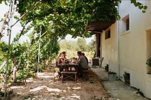 Sorseggiando tra i vigneti: tour di un'azienda vinicola a conduzione familiare e degustazione gourmet a Corfù