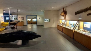 Aquarium of Rhodes