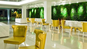Diamond Deluxe Hotel