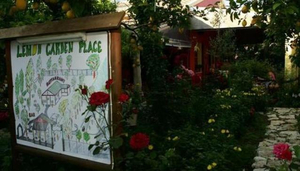 Lemon Garden