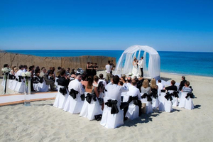 Mamma Mia Weddings