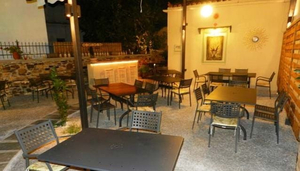 Olivo