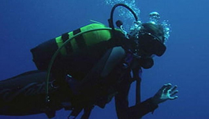 Pro Divers