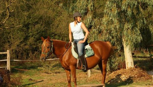 Trailriders