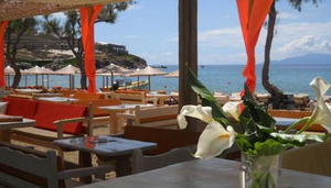 Tropicana Club