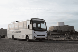 Half-Day Island Tour with Scenic Stops