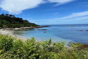 Southern and Western Island Mini Coach Tour