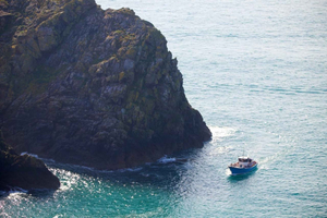 Unrivalled Coastal Tour to Saint's Bay Harbour