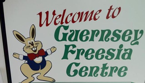 Guernsey Freesia Centre
