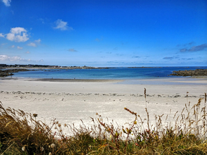 Ladies Bay
