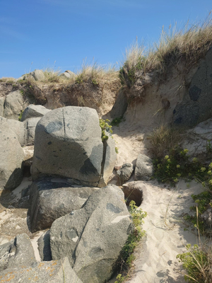 Mouisonniere Beach