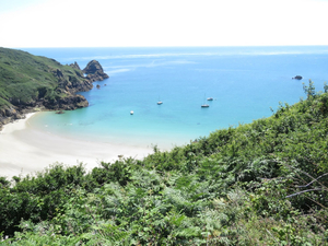 Petit Port