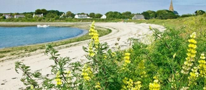 Pohjoirannikko