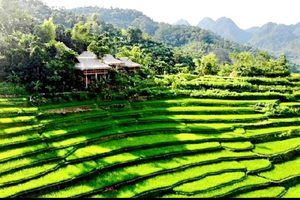 2 Day Scenic Escape To Mai Chau Pu Luong Nature Reserve Tour