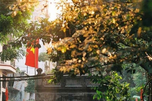 City Highlights Tour with Train Street & Hidden Gems