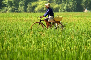From Hanoi/Mai Chau: Full-Day Mai Chau Group or Private Tour