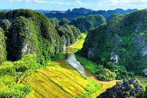 From Hanoi - Trang An, Hoa Lu, Mua Cave 1 Day Tour