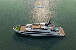 Hanoi: Ha Long Bay/Lan Ha Bay Taliya Day Cruise