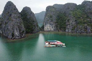Hanoi, Ninh Bình: Lan Ha Bay – Halong Bay met planktonexcursie