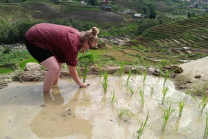 Hanoi- SaPa: 3-Day Homestay Trek to Explore Ethnic cultures