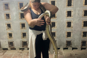 Hanoi Snake Village Adventure with 10 Dishes of Snake