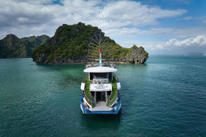 Luxury Ha Long Bay Escape: Day Trip with a 5-Star Cruise