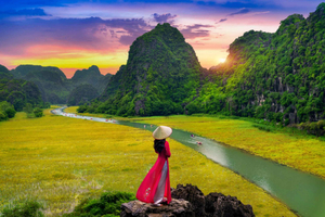 Ninh Binh Private Tour: Tam Coc, Bich Dong and Thung Nham