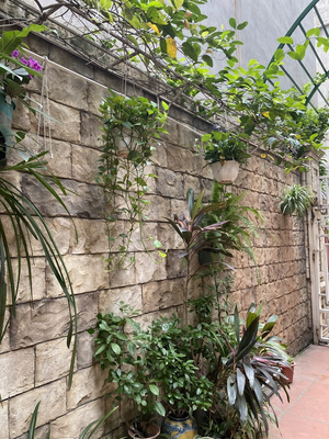 A Little House 85 Vệ Hồ