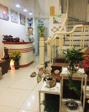 Ansa Spa