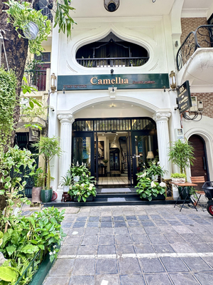 Camellia