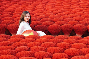 Hanoi: Cuu Village, Lacquer Village or Hat & Incense Village